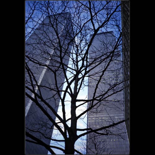 WTC-19